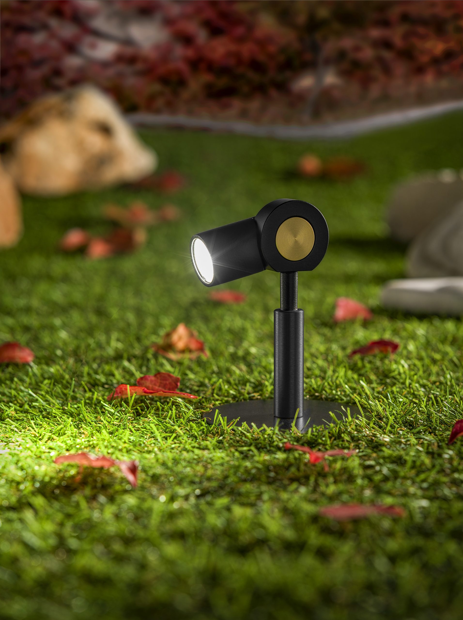 NINO O